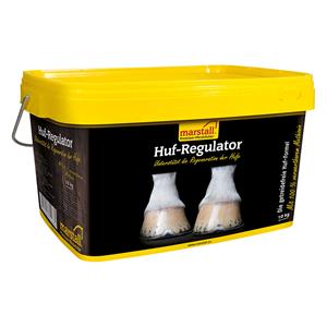 Marstall Huf-Regulator