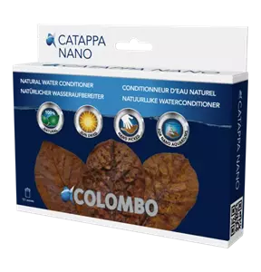 Colombo catappa 10st