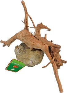 De Boon Spiderwood Met Rots 10-20CM