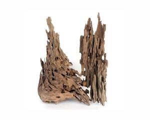 Wabi Kusa Honeycomb Wood 5-12CM Per 2 Stuks