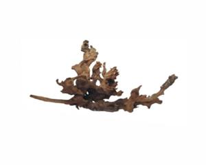 Wabi Kusa Drift Wood 5-12CM Per 2 Stuks