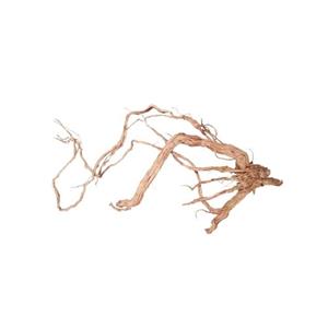 HS Aqua Azalea Root M - 50-80CM