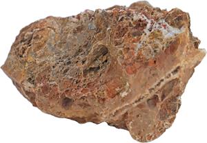 De Boon Aquariumsteen Maple Leaf Rock
