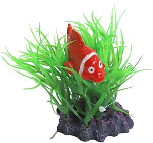 De Boon Plant Met Clownsvis 10CM