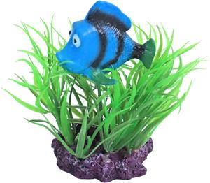 De Boon Plant Met Doktersvis 10CM