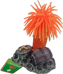 De Boon Annemoon + Rots 9CM