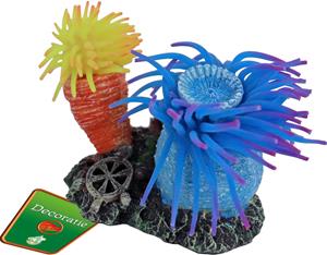 De Boon Annemoon 2 + Rots 10CM