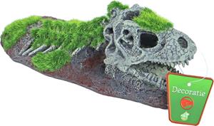 De Boon Dinosaurus Skelet