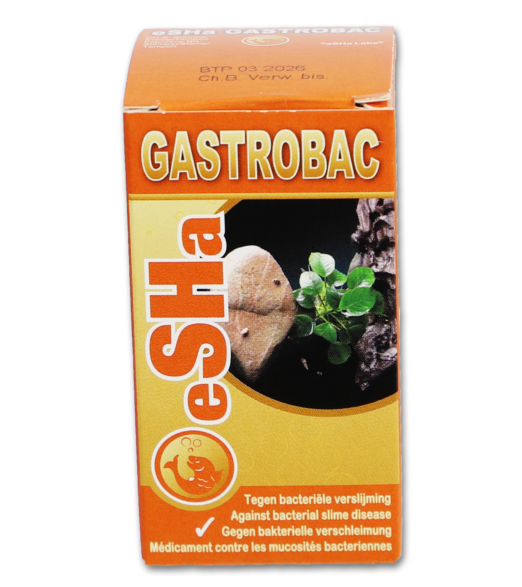 Gastrobac 10ML