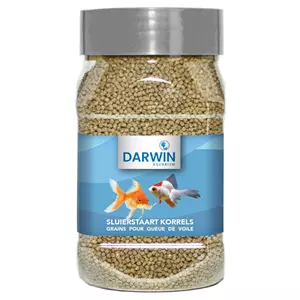 Darwin Sluierstaart korrels 330ml
