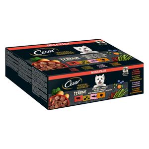 Cesar 48 x 100 g  Natural Goodness Graanvrij met Superfoods Terrine Mix (gevogelte, kalkoen, rund, zalm) natvoer voor honden