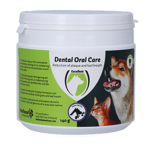 Excellent Dental Oral Care Hond & Kat