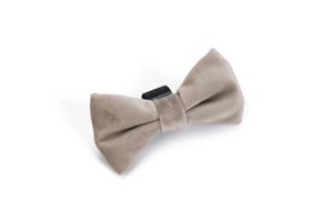 Designed By Lotte hondenstrik Zaza velvet grijs 9 x 5 x 1cm
