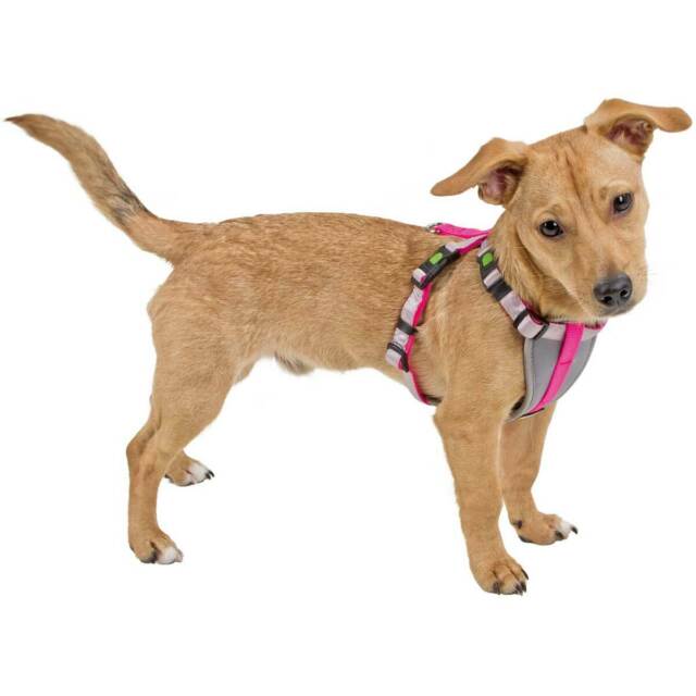 Kerbl Tuig voor kleine honden - XS - Neon Pink