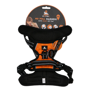 Spotted! PRO Harnas Oranje XS