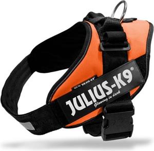 Julius-K9 IDC Powertuig Oranje Baby 1