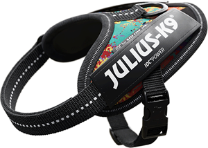 Julius-K9 IDC Powertuig Crazy