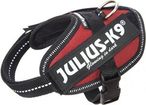 Julius-K9 IDC Powertuig Bordeaux
