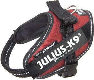 Julius-K9 IDC Powertuig Bordeaux