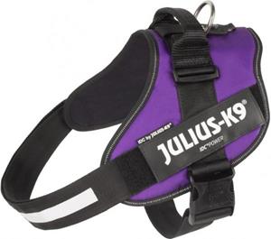 Julius-K9 IDC Powertuig Dark Purple - Maat Mini Mini