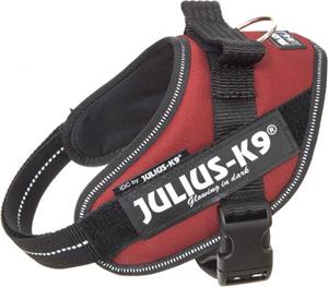 Julius-K9 IDC Powertuig Bordeaux