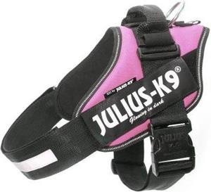 Julius-K9 IDC Powertuig Roze