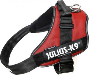 Julius-K9 IDC Powertuig Bordeaux