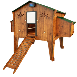 Cucciolotta Kippenhok Polly Duplex 4 XL
