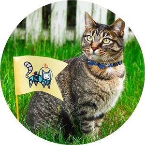 Pawise Halsband voor katten Rood