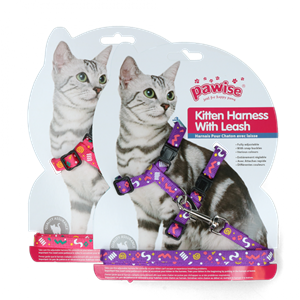 Pawise Kitten Harness Leash-PinkPurple