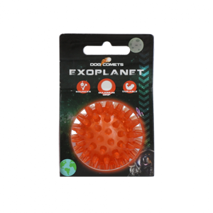 Dog Comets Exoplanet Orange S