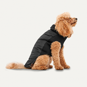Goo-eez Gooeez Mock Neck Signature Jacket L Black"Black