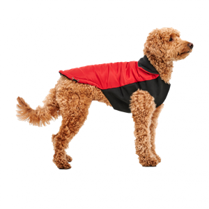 Goo-eez Gooeez Mock Neck Signature Jacket L Red"Black