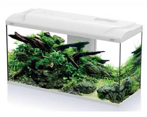 HS Aqua Aquarium Platy Bio 110 LED | 110L | 80 x 31 x 46CM Wit Wit