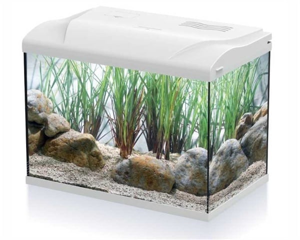 HS Aqua Aquarium Coldy 20 LED | 20L | 39 x 22  x 30CM Wit Wit
