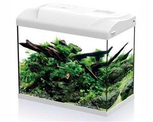 HS Aqua Aquarium Platy Aquarium Platy 30 LED | 30L | 39 x 22 x 36CM Wit30 LED Wit