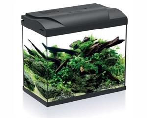 HS Aqua Aquarium Platy 30 LED | 30L | 39 x 22 x 36CM Zwart Zwart