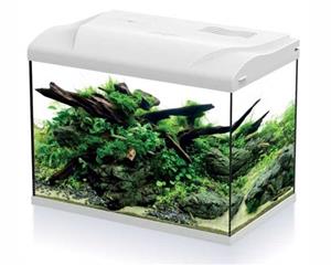 HS Aqua Aquarium Platy 50 LED | 50L | 49 X 31 X 38CM Wit Wit