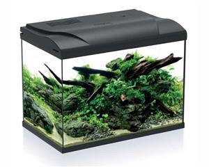 HS Aqua Aquarium Platy 50 LED | 50L | 49 X 31 X 38CM Zwart Compleet