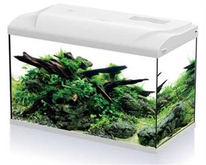 HS Aqua Aquarium Platy 70 LED | 70L | 59 x 31 x 39 CM Wit Compleet