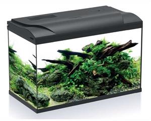HS Aqua Aquarium Platy 70 LED | 70L | 59 x 31 x 39 CM Zwart Compleet