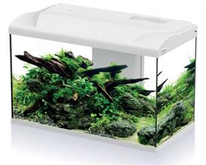 HS Aqua Aquarium Platy Bio 70 LED | 70L | 59 x 31 x 39 CM Wit Compleet