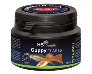 HS Aqua Guppy Flakes 100ML