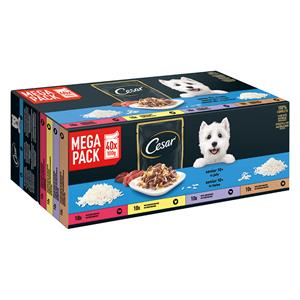 Cesar 40 x 100 g  portiezakjes in gelei Senior 10+ natvoer voor honden