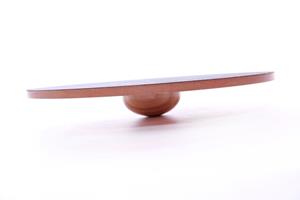 FitPAWS 90 cm Wobble Board (vaste prijs)
