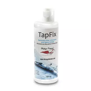 Shrimps Forever Tapfix