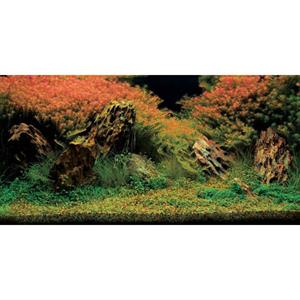 Aquatic Nature Foto Achterwand Inferno 100 x 50