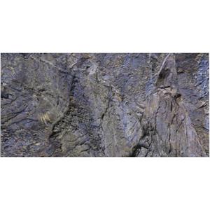 Aquatic Nature Foto Achterwand AB 120 x 50