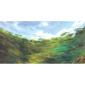 Aquatic Nature Foto Achterwand BC 80 x 40
