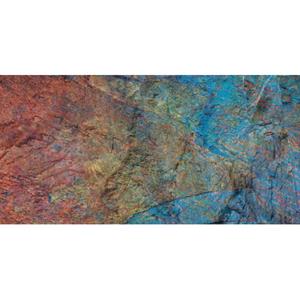 Aquatic Nature Foto Achterwand Tangiers 120 x 50